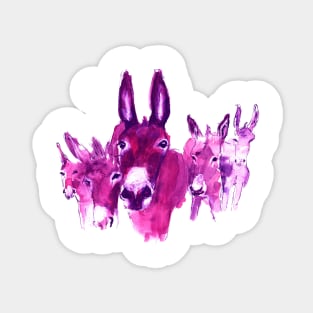 Pink Donkeys Sticker